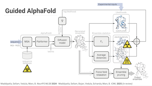 Picture for Experiment-guided generative models for protein structure and dynamics